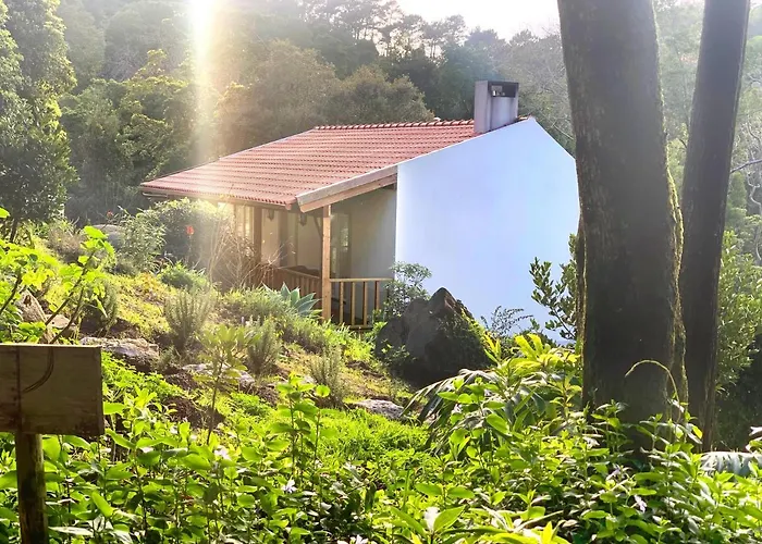 Eighteen21 - Secluded Charm In Quinta Velha Apartament *